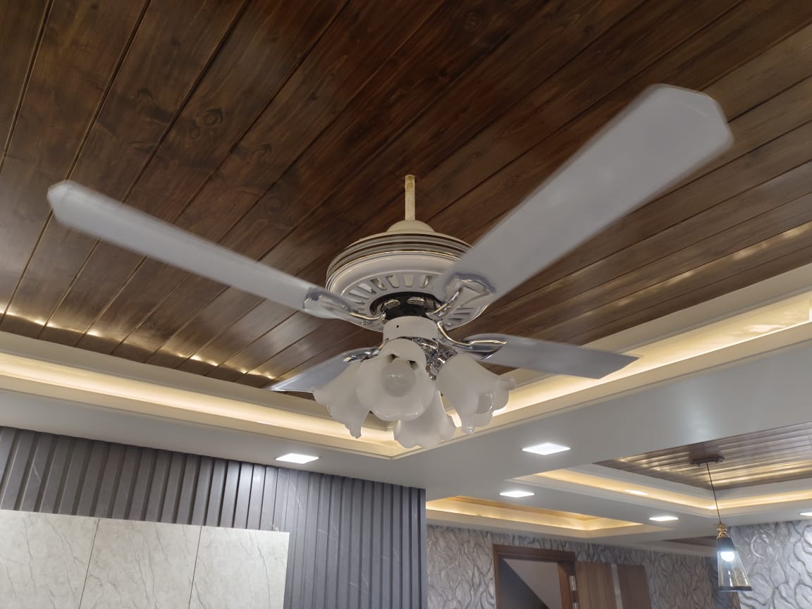 WhatsApp Image 2025-04-04 at 2.07.08 PM (2)